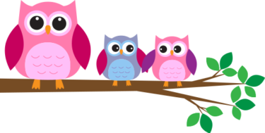 owls-on-a-branch